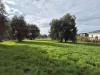 Terreno Agricolo in vendita a Grosseto - 03, 75405722-c744-4f38-a7aa-101c831882d0.jpeg