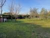 Terreno Agricolo in vendita a Grosseto - 05, 9f482585-48dd-4f00-82f4-334744fb48e6.jpeg