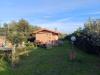 Terreno Agricolo in vendita a Grosseto - 08, bcb07202-f808-4580-a779-8b7e434ebd9c.jpeg