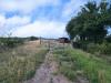 Terreno Agricolo in vendita a Castiglione della Pescaia - 02, 1795d093-f942-49c4-b805-828dc6fc826c.jpeg