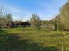 Terreno Agricolo in vendita a Grosseto - 07, bc1e7436-21cd-4c5d-9f34-ccef5ea7d5fc.jpeg