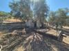 Appartamento in vendita con giardino a Grosseto - 07, 5309ef4e-e956-44a6-ac5a-ace536b6555d.jpeg