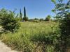 Terreno Agricolo in vendita a Grosseto - 10, 1a84ea96-7d32-45fd-bb42-85e2667086b0.jpeg