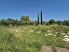 Terreno Agricolo in vendita a Grosseto - 03, 38d087d9-6544-41d8-aebd-5e419367f60e.jpeg
