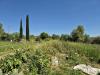 Terreno Agricolo in vendita a Grosseto - 04, f52f974e-e6aa-4a10-93b0-2a1dff407321.jpeg