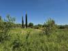 Terreno Agricolo in vendita a Grosseto - 05, 446a60e5-96e4-49cd-bad4-2f1bcff97e37.jpeg