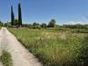 Terreno Agricolo in vendita a Grosseto - 06, f47b9699-c42c-4c5a-9ae7-916777b400b1.jpeg