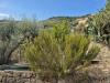 Casa indipendente in vendita con giardino a Monte Argentario - 10, ed23d30a-9ae7-4339-8f29-bf7f7f906642.jpeg