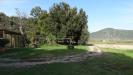 Terreno Agricolo in vendita a Grosseto - 05, DSC03752.JPG