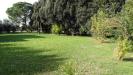 Terreno Agricolo in vendita a Grosseto - 08, DSC03755.JPG