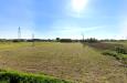 Terreno Agricolo in vendita a Castelfranco di Sotto - 02
