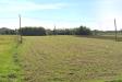 Terreno Agricolo in vendita a Castelfranco di Sotto - 03