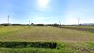 Terreno Agricolo in vendita a Castelfranco di Sotto - 05