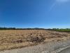 Terreno Agricolo in vendita a Fucecchio - 03