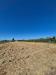 Terreno Agricolo in vendita a Fucecchio - 05