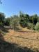Casa indipendente in vendita nuovo a San Miniato - stibbio - 02