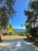 Villa in vendita a Casal Velino - 02, WhatsApp Image 2025-07-25 at 09.32.55.jpeg