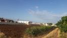 Terreno Agricolo in vendita a Manduria - 04, 4.jpg