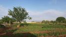 Terreno Agricolo in vendita a Manduria - 05, 5.jpg