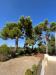 Villa in affitto arredato a Manduria - 09, esterno