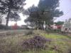 Villa in vendita con giardino a San Marzano di San Giuseppe - 09, Terreno