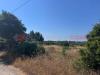 Terreno Agricolo in vendita a Manduria - 02, 7.jpg