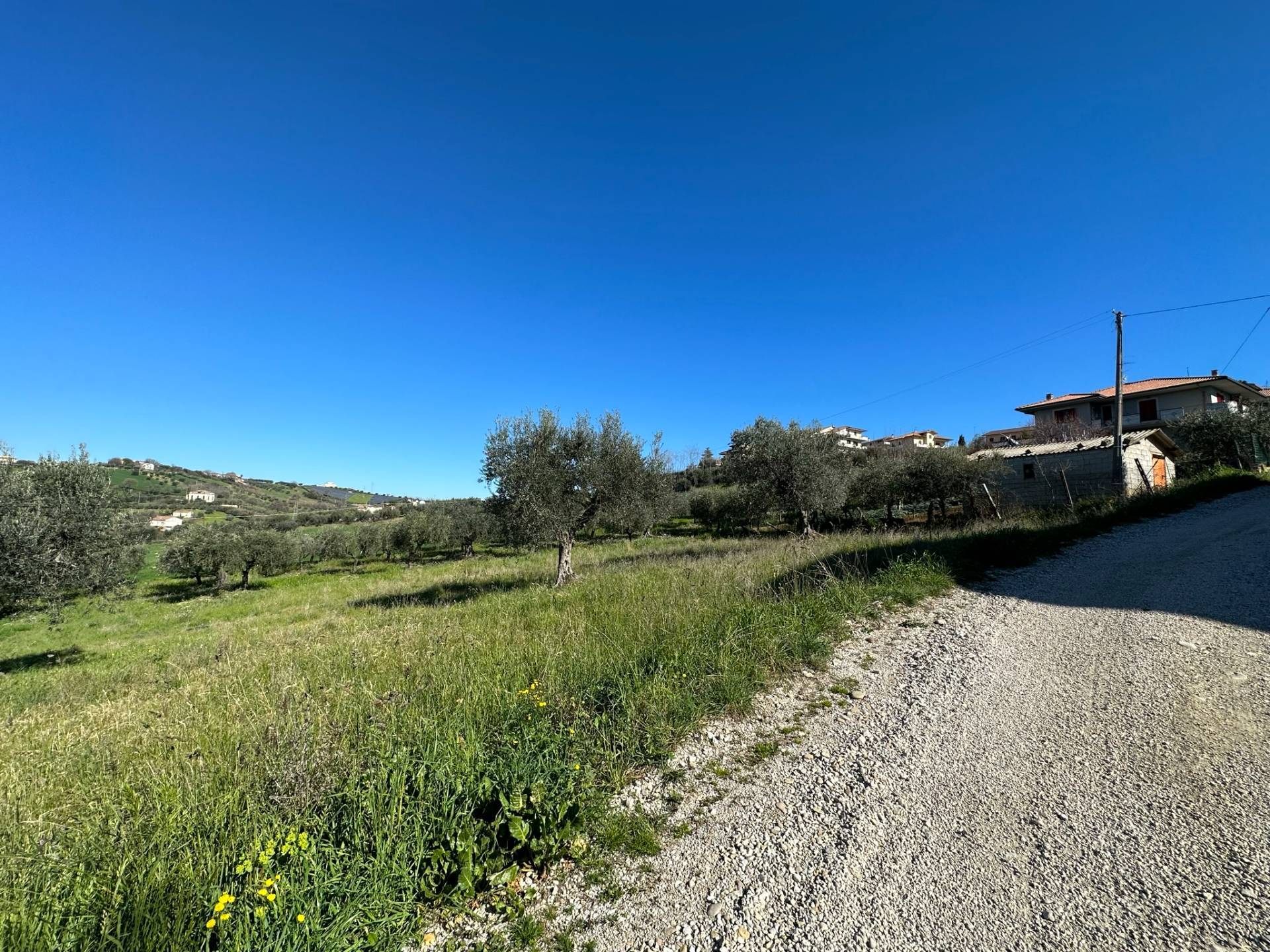 immagine annuncio 5 di 6