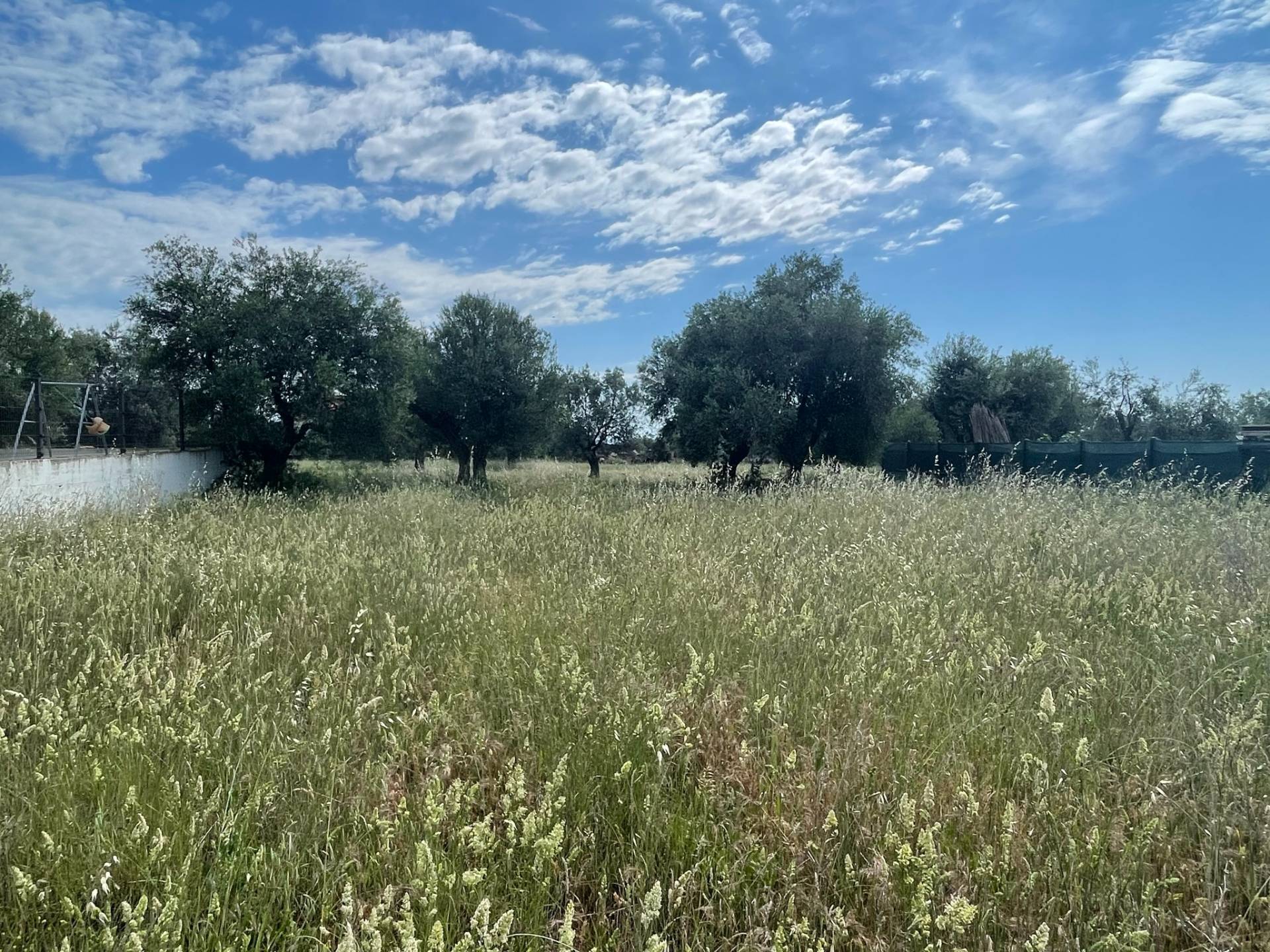 Terreno edificabile in vendita a Mosciano Sant'Angelo, Contrada Convento