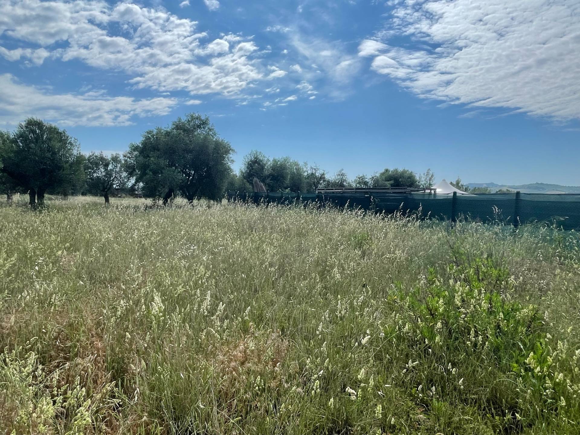 Terreno edificabile in vendita a Mosciano Sant'Angelo, Contrada Convento