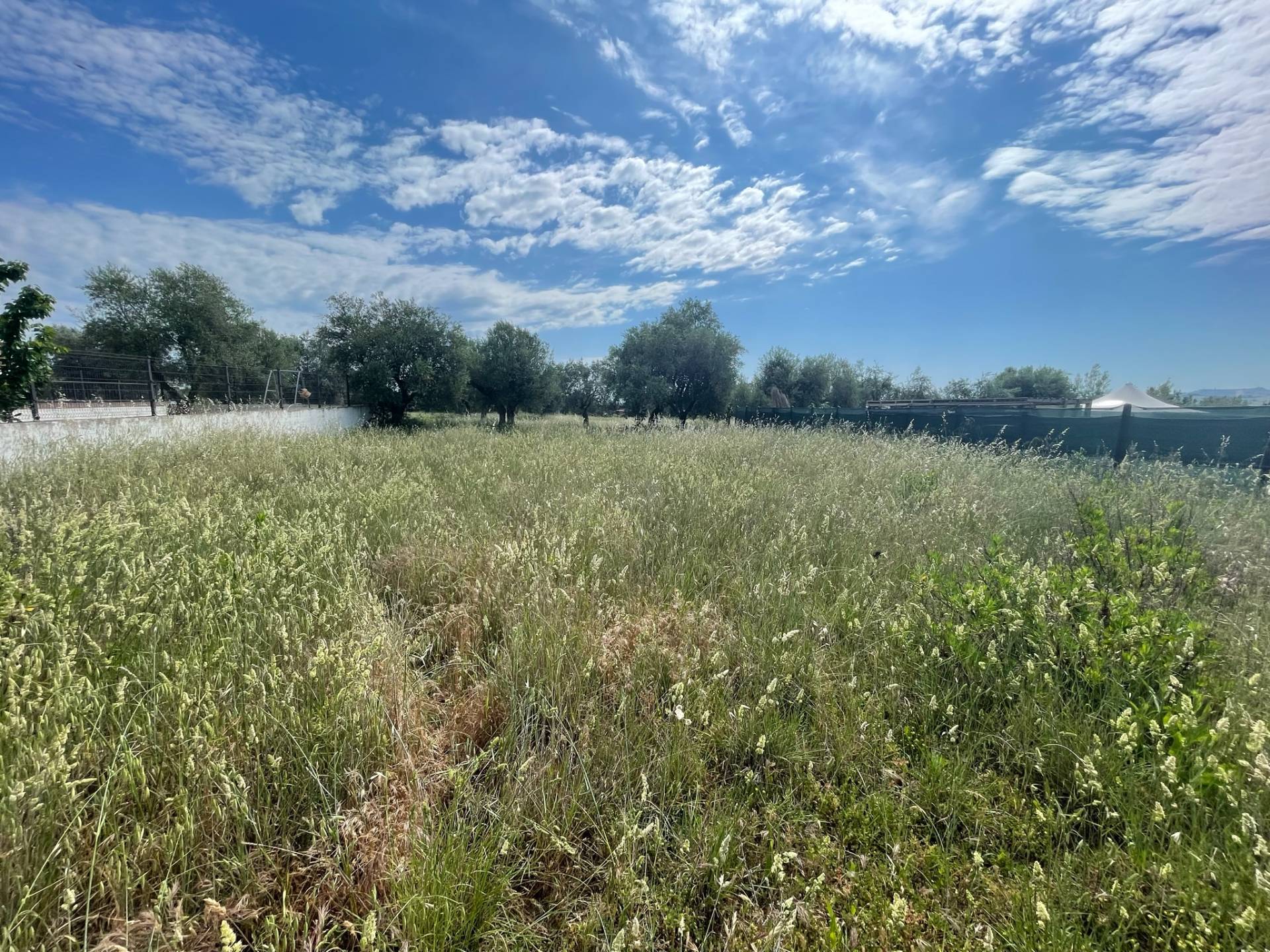 Terreno edificabile in vendita a Mosciano Sant'Angelo, Contrada Convento