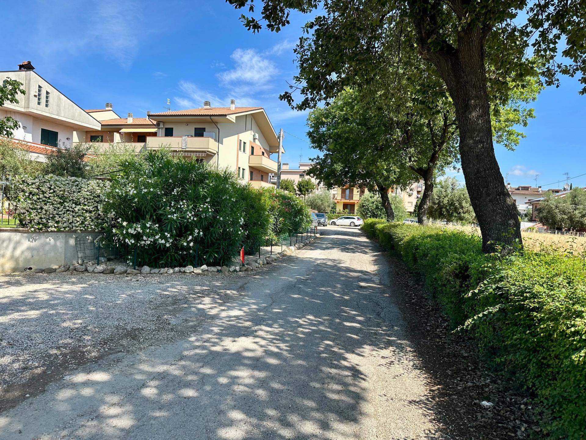 Terreno Agricolo in vendita a Mosciano Sant'Angelo, Centro