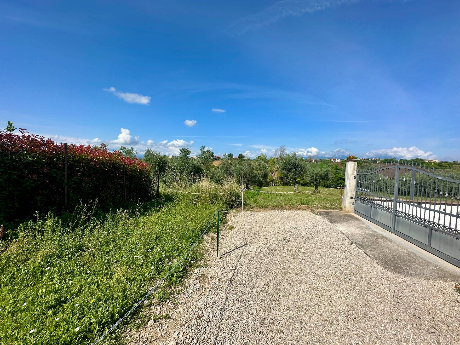 Terreno Agricolo in vendita a Mosciano Sant'Angelo, Centro