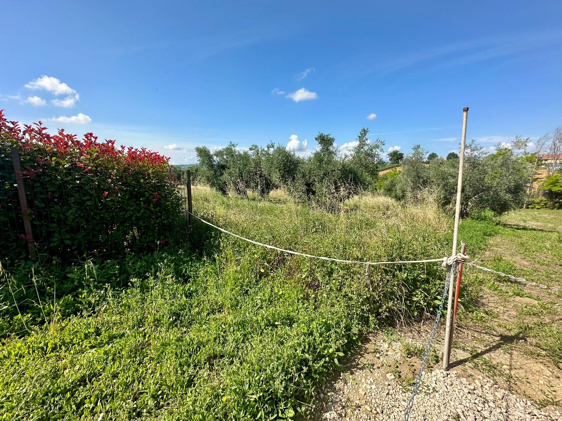 Terreno Agricolo in vendita a Mosciano Sant'Angelo, Centro
