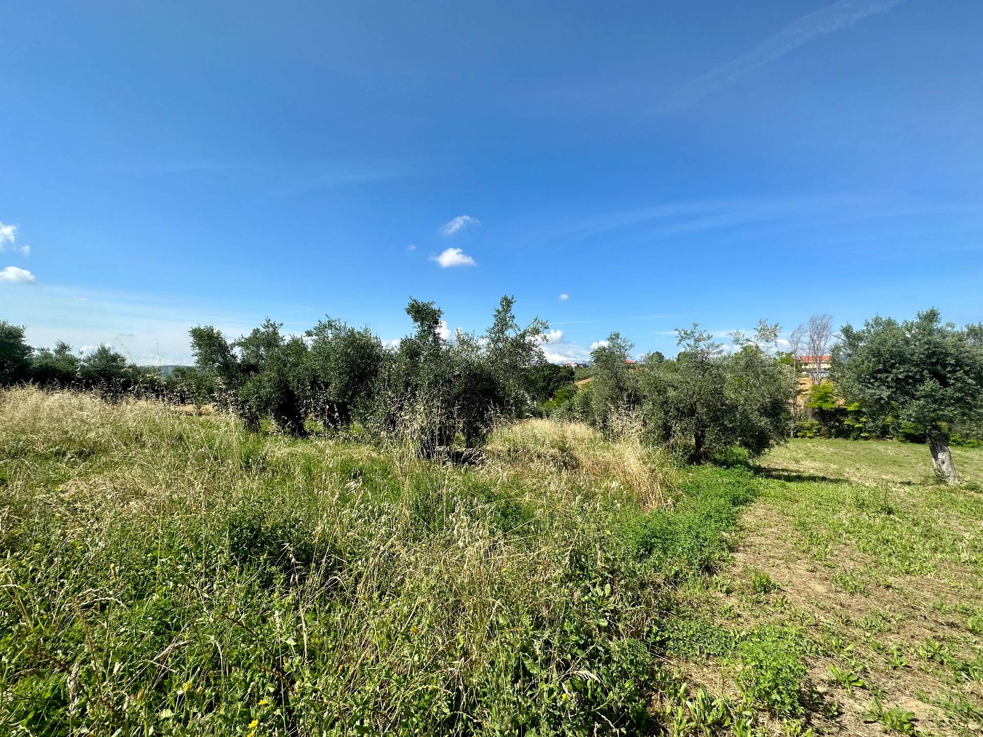 Terreno Agricolo in vendita a Mosciano Sant'Angelo, Centro