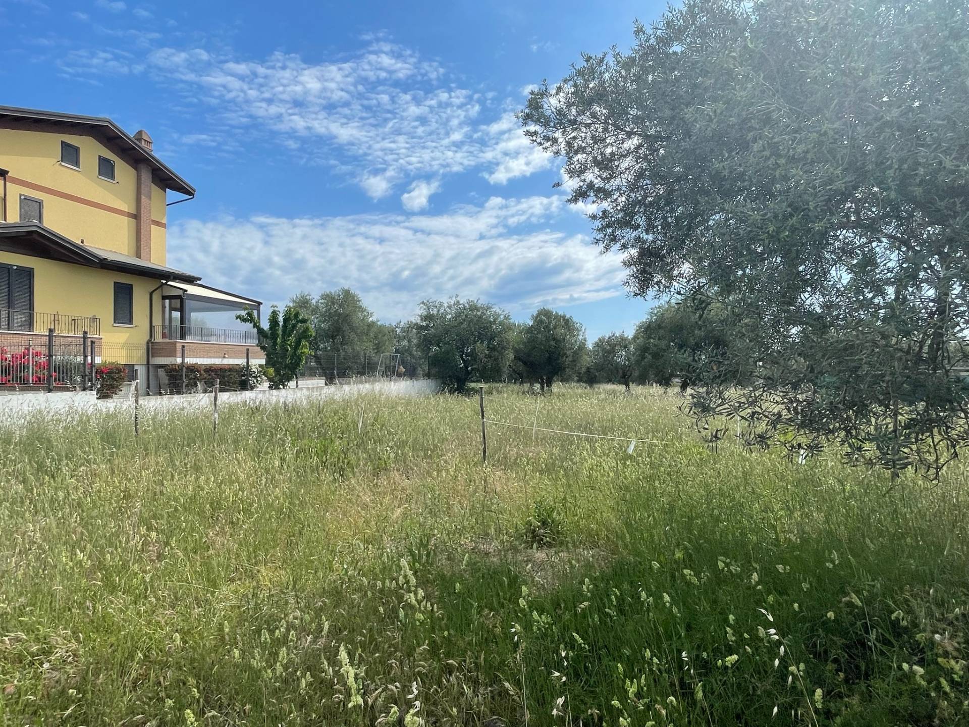 immagine annuncio 8 di 9