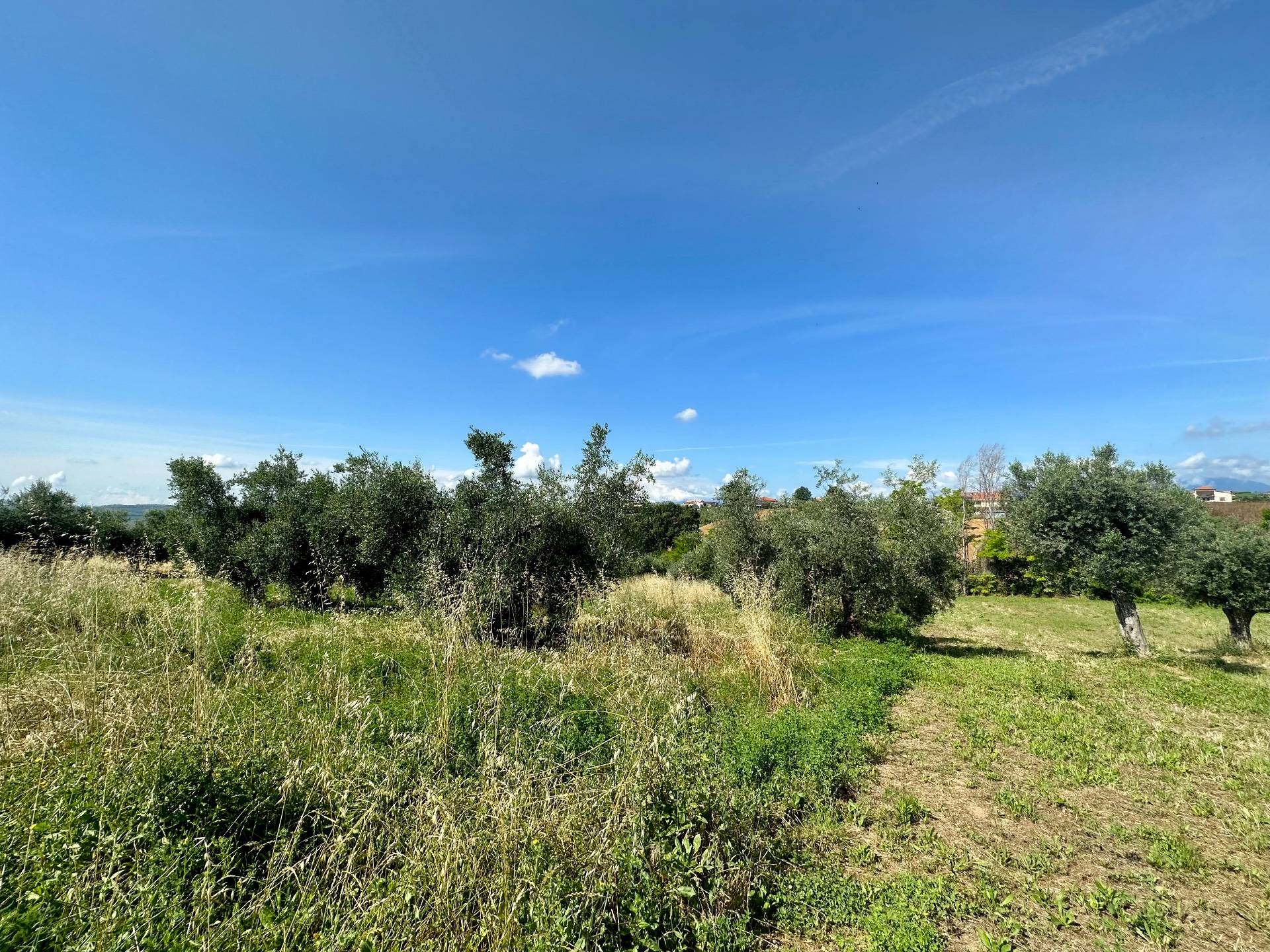 Terreno Agricolo in vendita a Mosciano Sant'Angelo, Centro