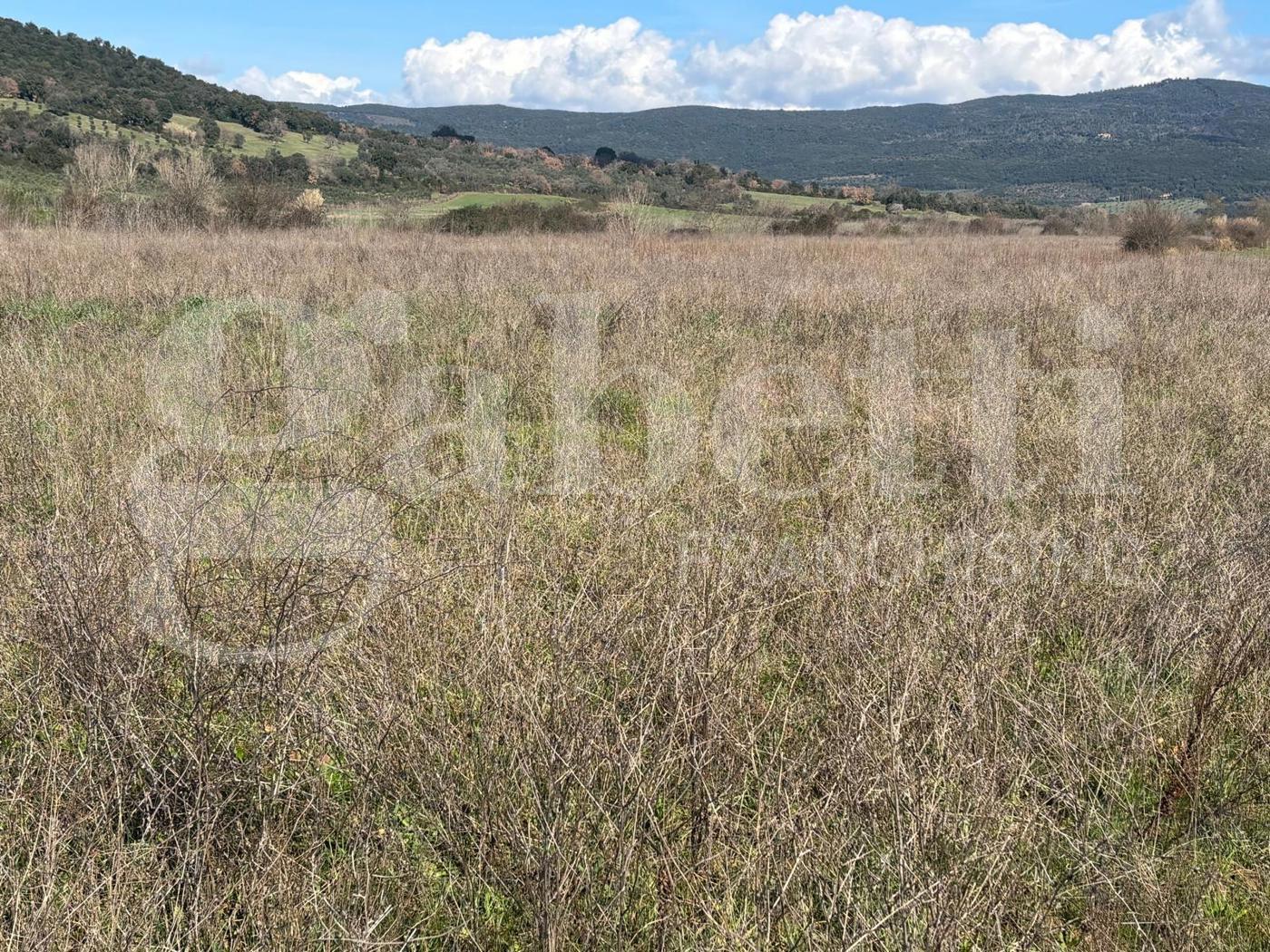 Terreno Agricolo in vendita a Massa Marittima