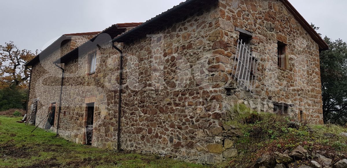 Rustico con giardino a Massa Marittima