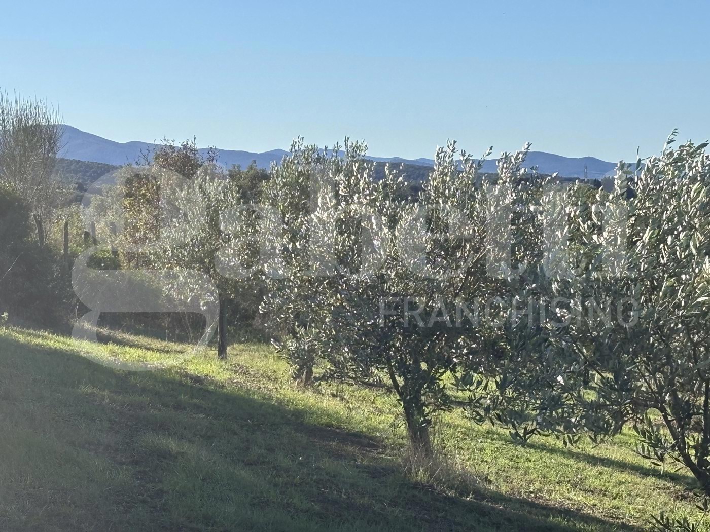 Terreno Agricolo in vendita a Massa Marittima