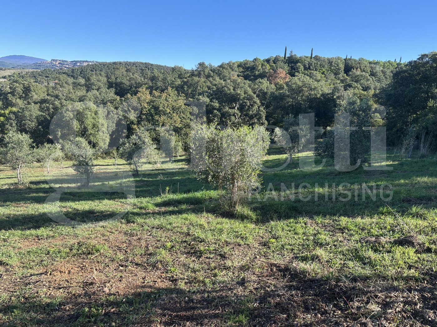 Terreno Agricolo in vendita a Massa Marittima