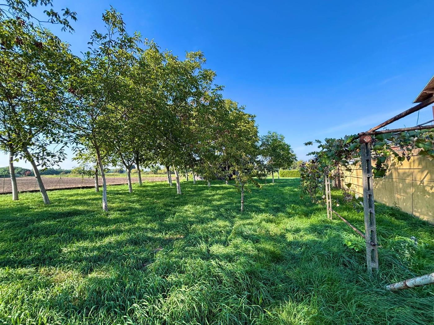 Villa Bifamiliare con giardino a Corbetta