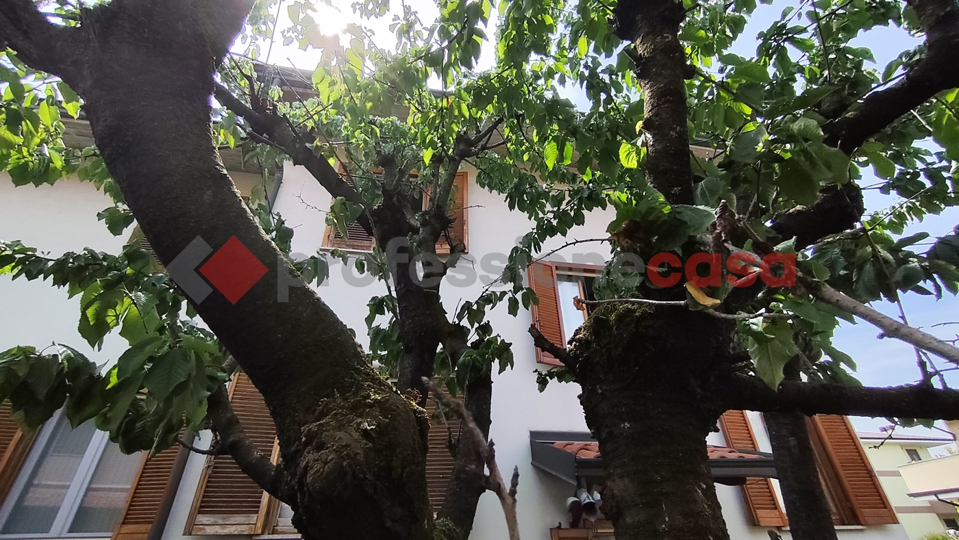 Villa con giardino a Zelo Buon Persico
