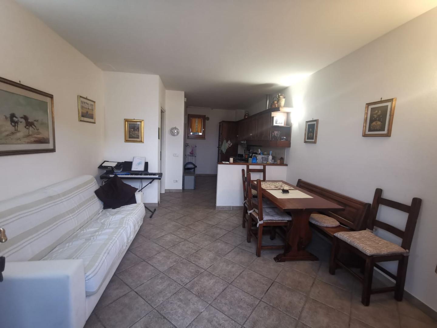 Trilocale arredato in affitto, Grosseto verde maremma