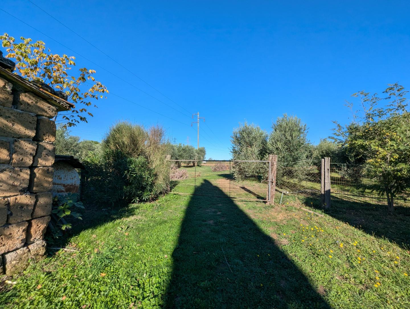 Villa con giardino a Grosseto