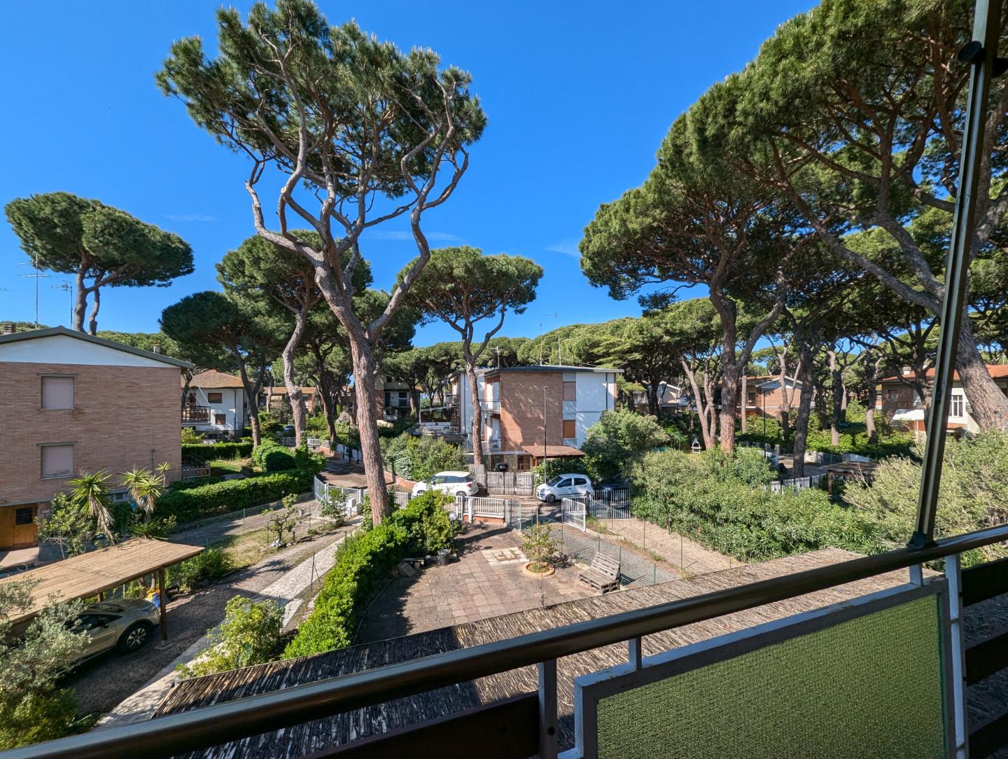 Quadrilocale in vendita, Grosseto marina di