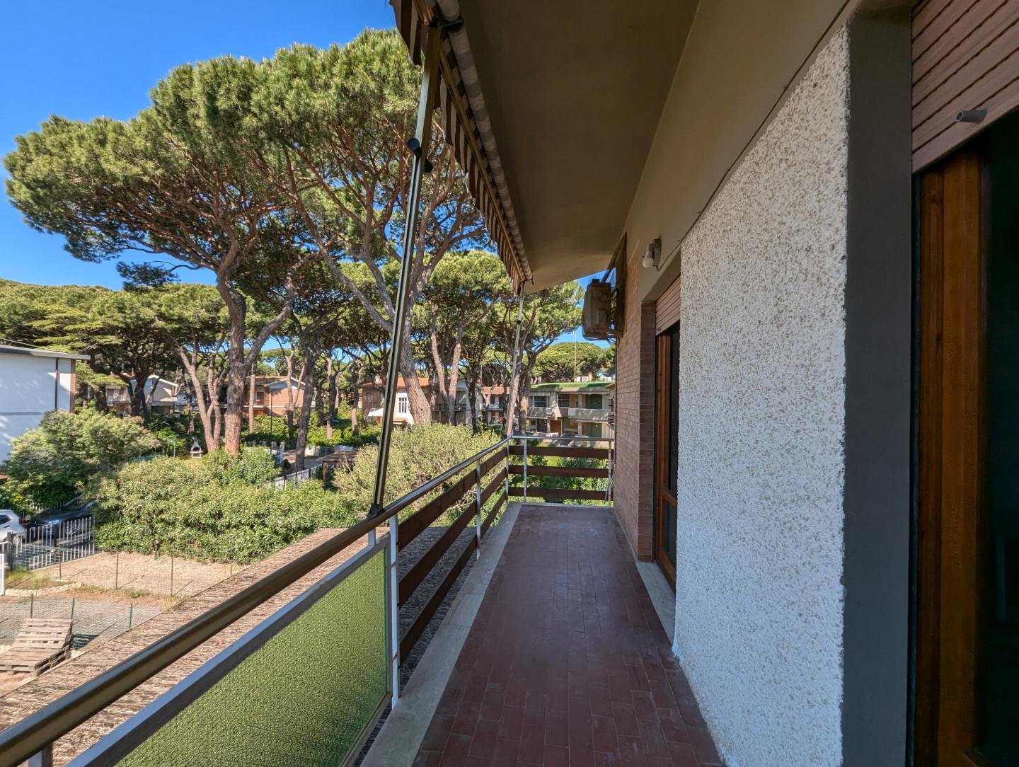 Quadrilocale in vendita, Grosseto marina di