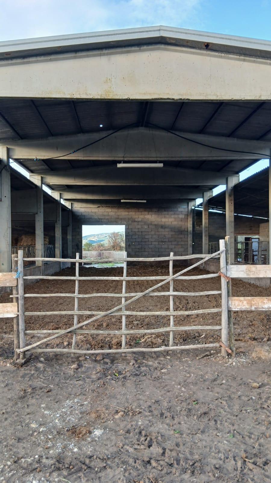 Rustico con giardino a Cinigiano