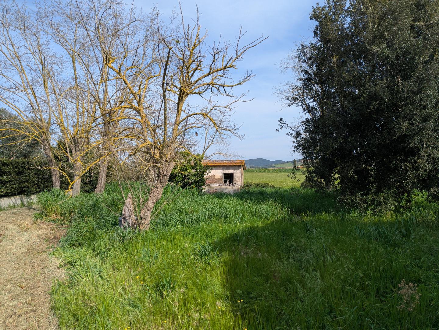 Rustico con giardino, Orbetello fonteblanda