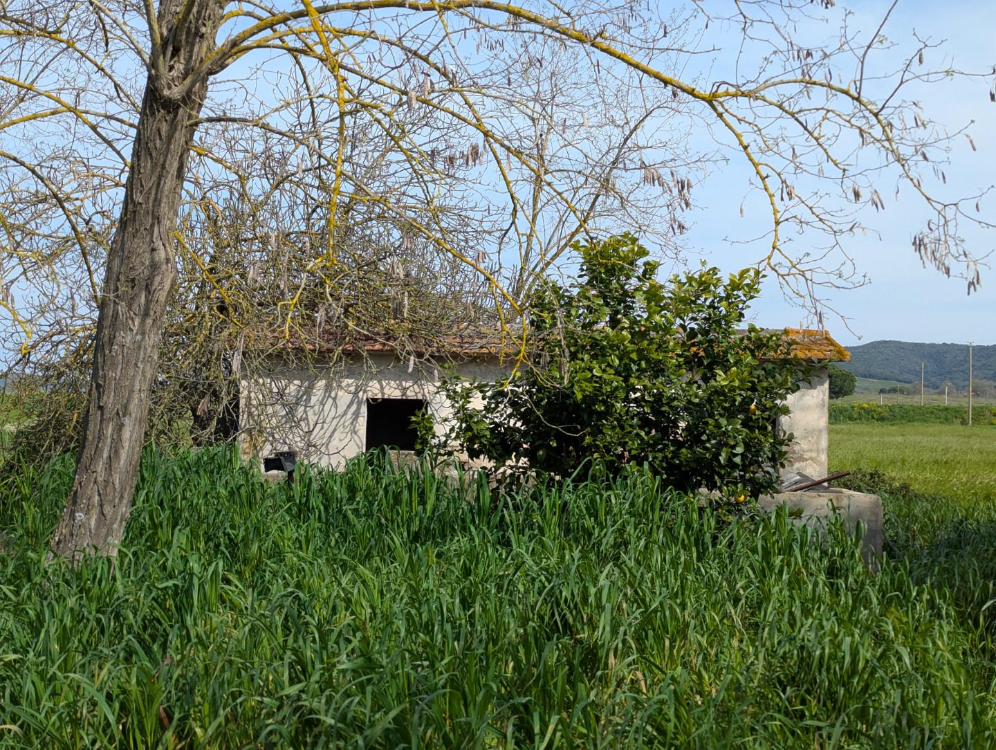 Rustico con giardino, Orbetello fonteblanda