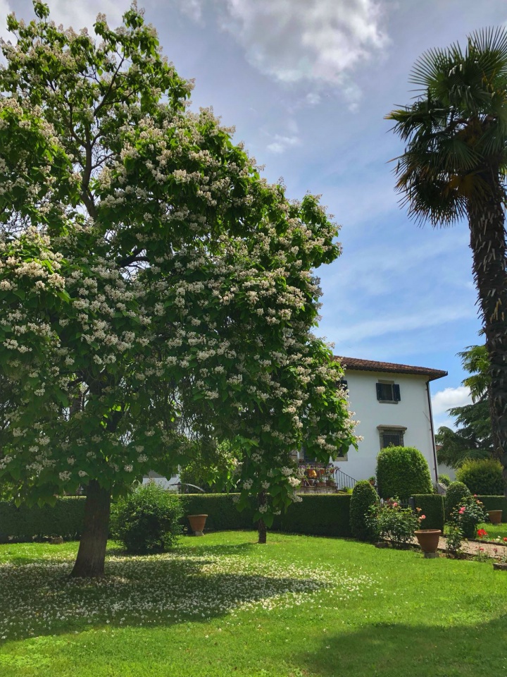 Villa con giardino in via san giovanni maggiore, Borgo San Lorenzo